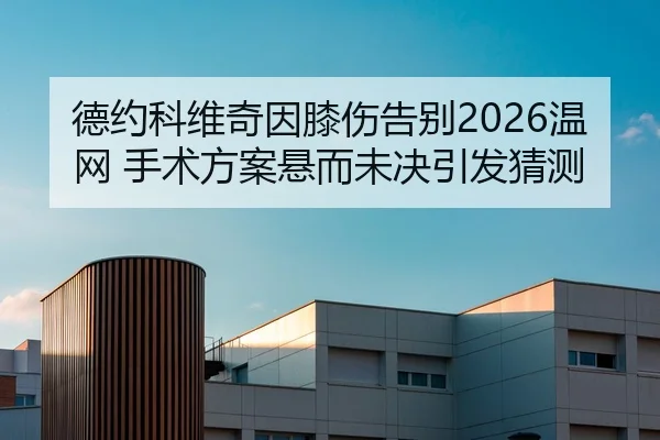 德约科维奇因膝伤告别2026温网 手术方案悬而未决引发猜测