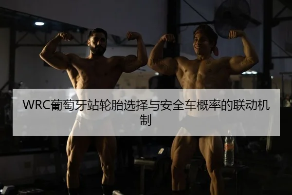 WRC葡萄牙站轮胎选择与安全车概率的联动机制